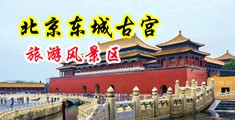 大鸡巴操美女女神中国北京-东城古宫旅游风景区
